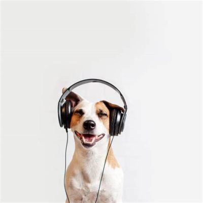 can dogs enjoy music while listening to it in a special environment that mimics their natural habitat?