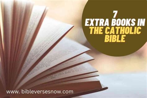 where did the extra books in the catholic bible come from what about the books that were not included?